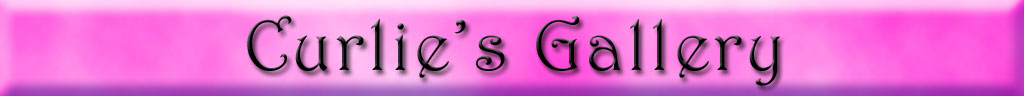 Curlie's Slide Show Gallery